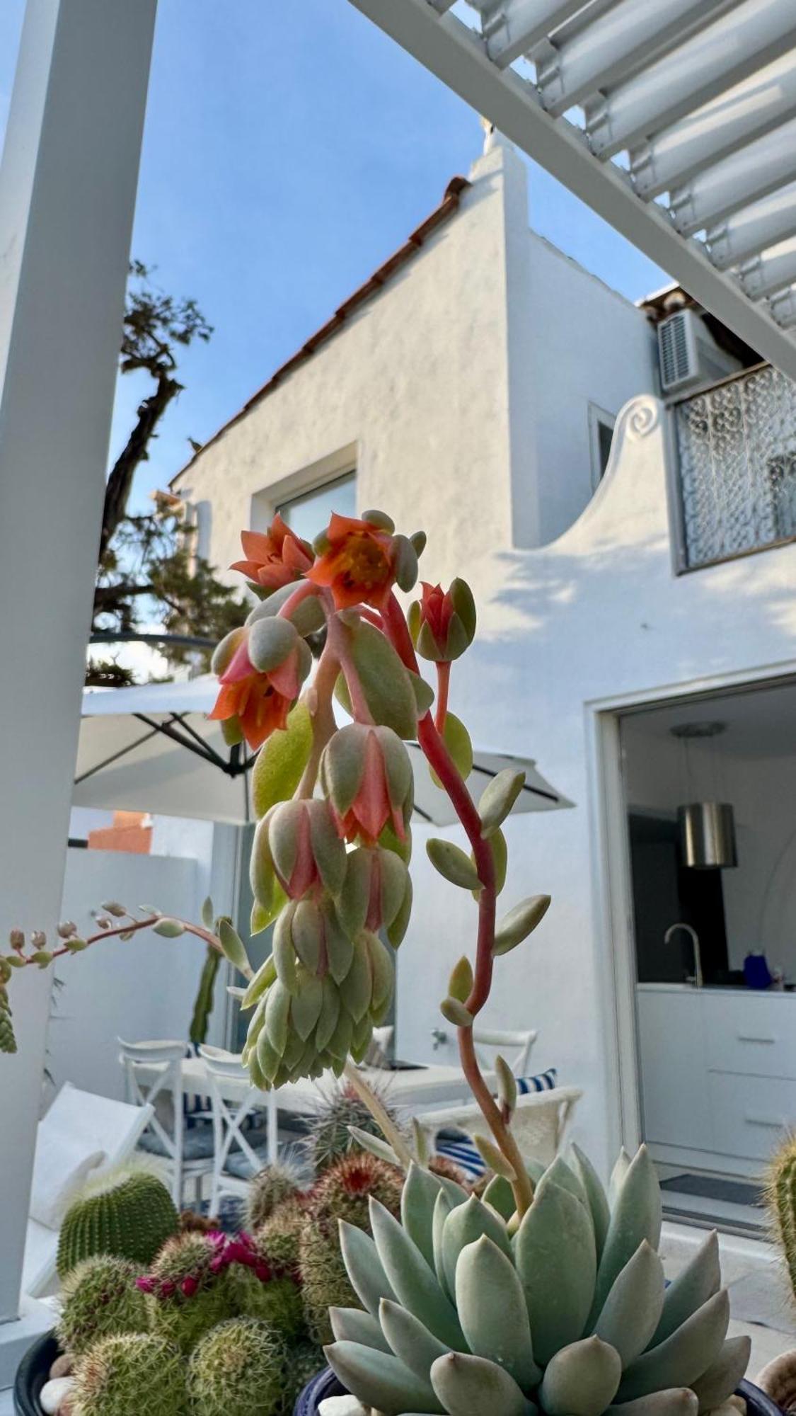 Casa Blu *