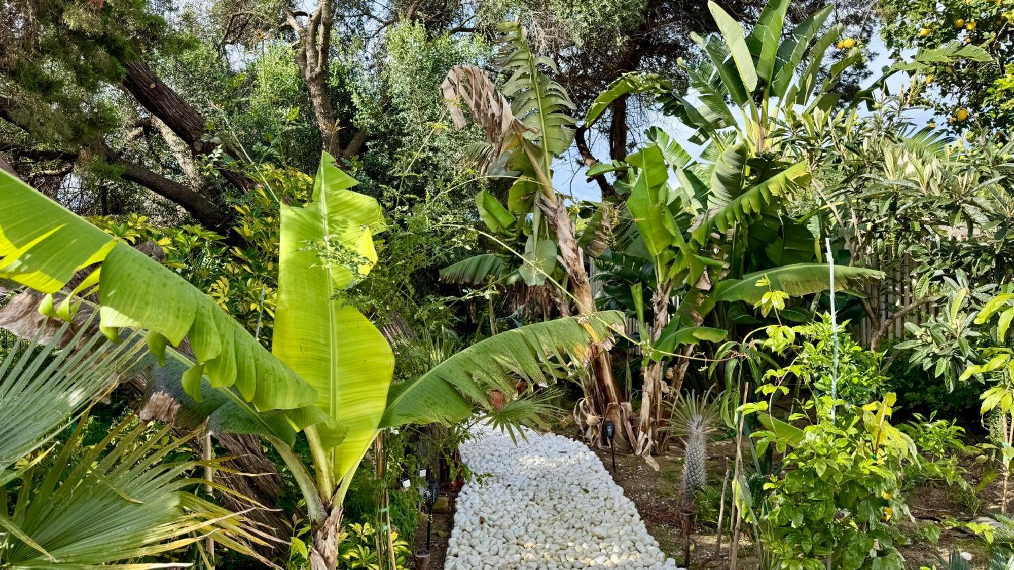 Hébergement de vacances Casa Blu *